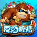 Www.yaxin66.com